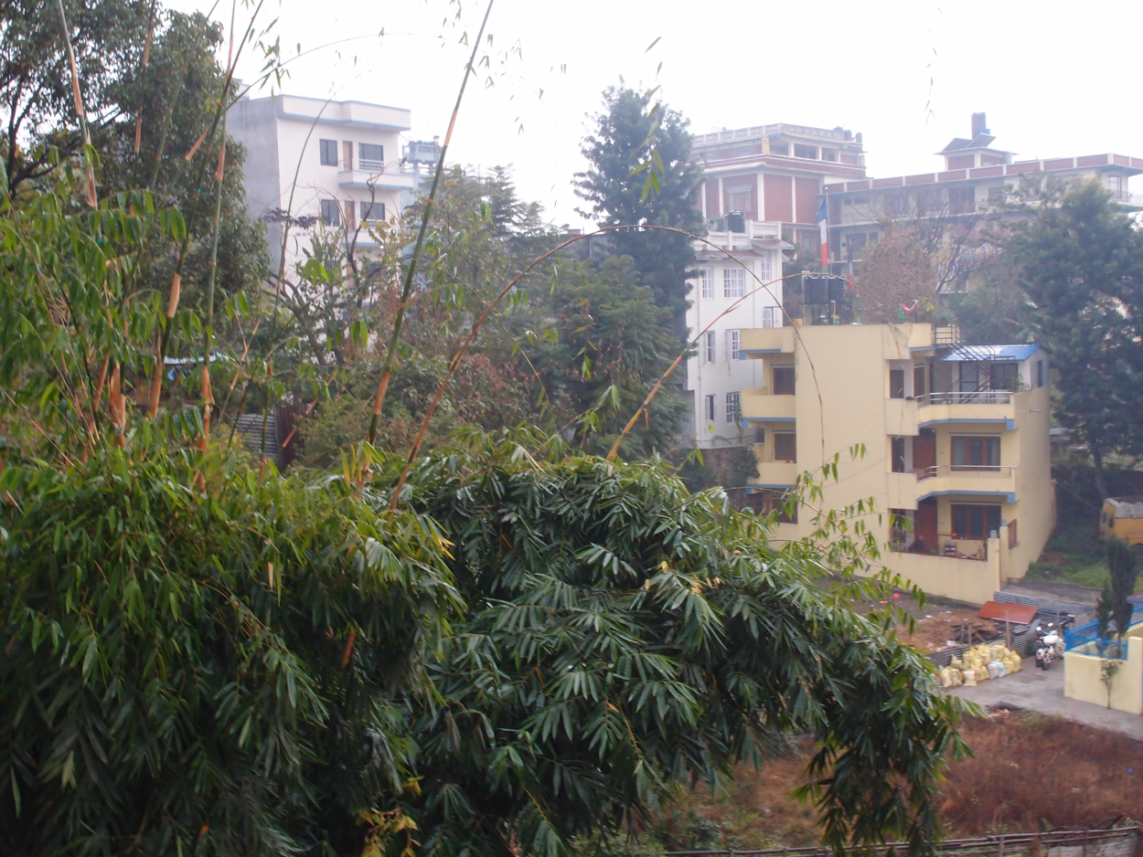 2018-01-24 09 Uhr - Boudha Walk nach dem Regen (Foto) 